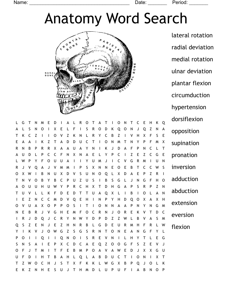 Anatomy Word Search WordMint