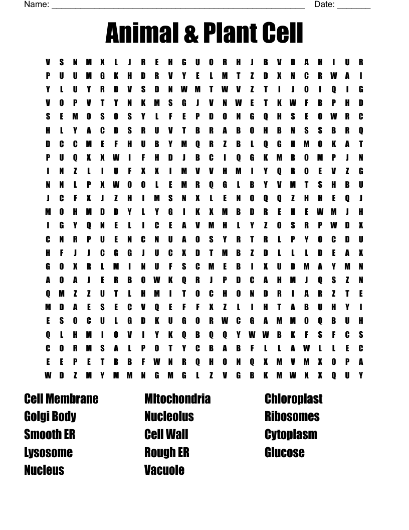Animal U0026 Plant Cell Word Search WordMint