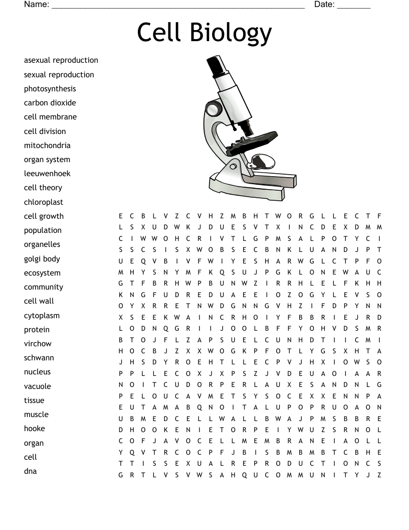 B1 Biology Keywords Word Search WordMint
