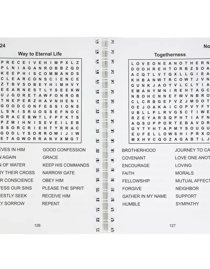 Printable Large Print Bible Word Search