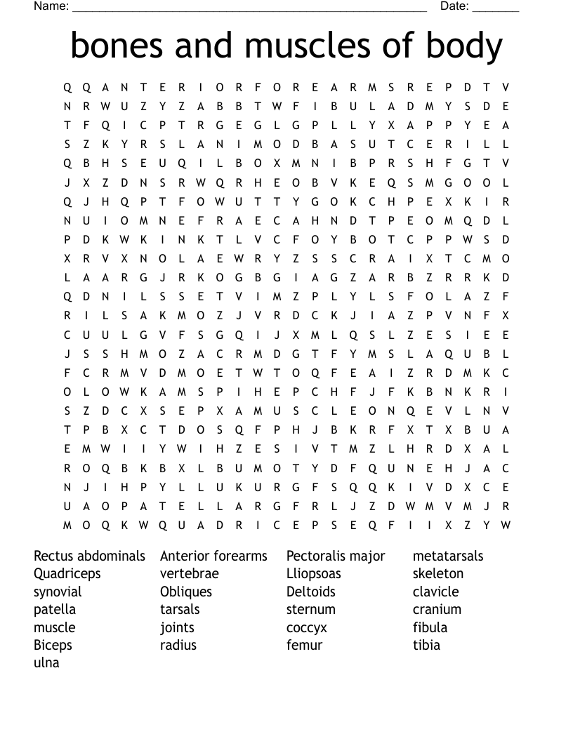 Bones And Muscles Word Search WordMint