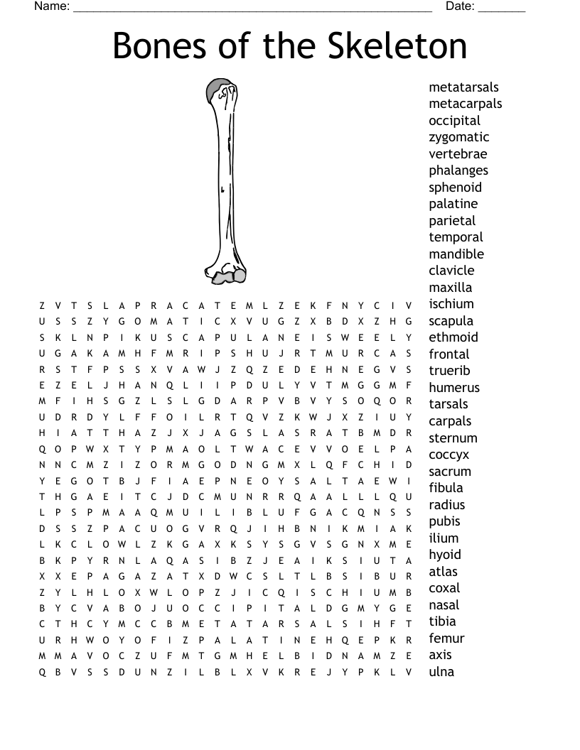 Bones Word Search Printable