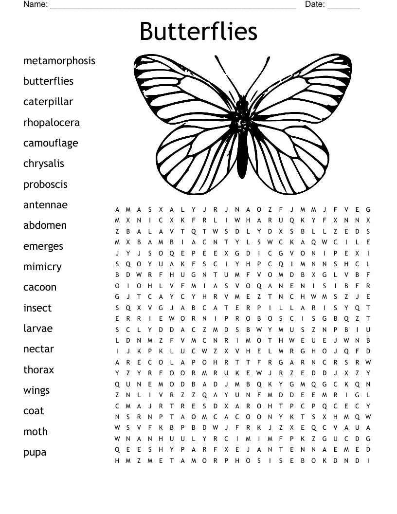 Butterfly Word Search Printable Worksheets