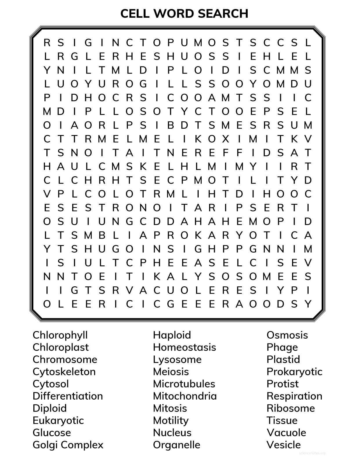 Cell Word Search Free Printable
