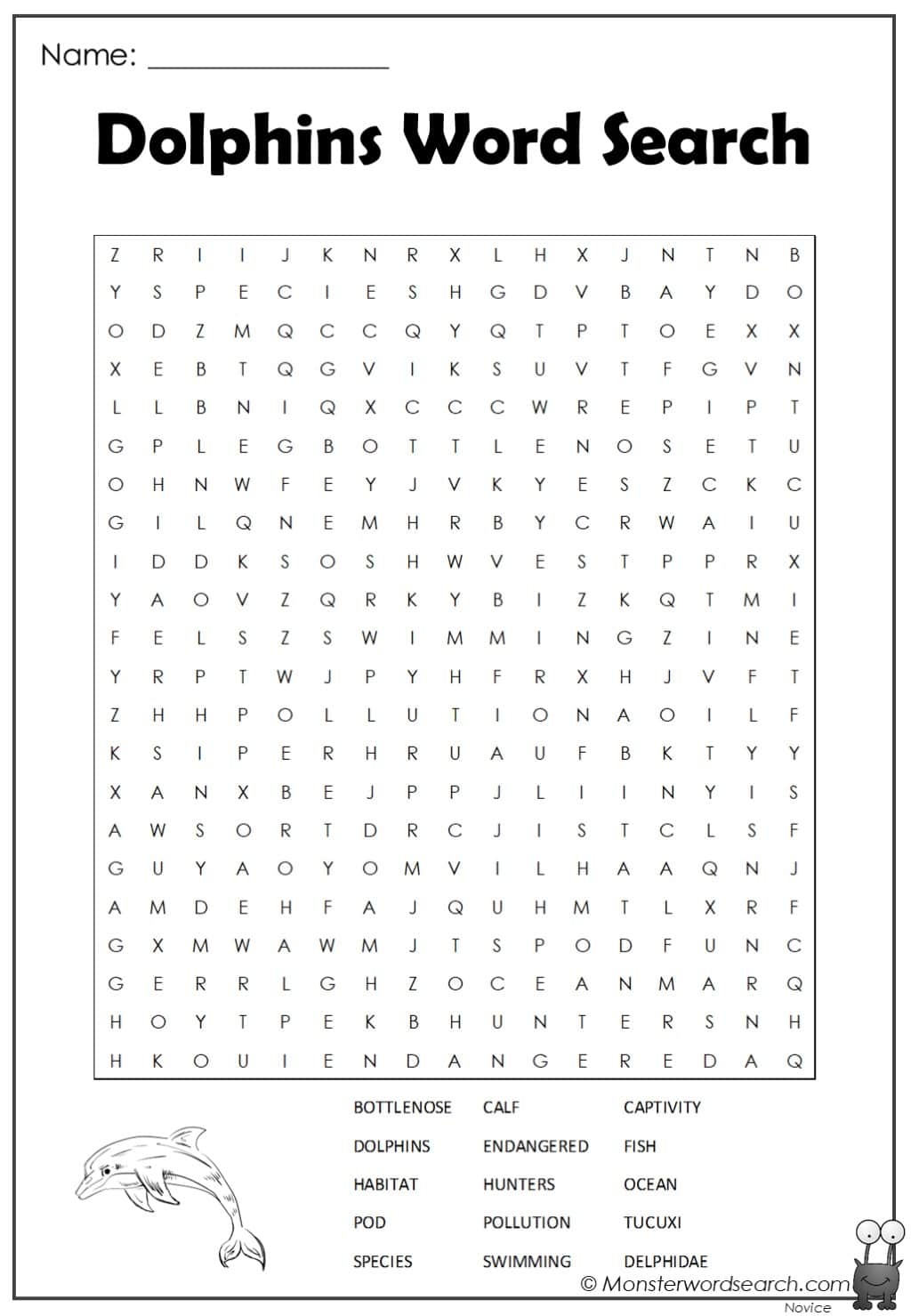 Dolphin Word Search Printable