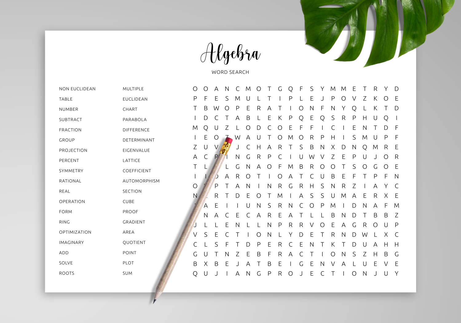 Algebra Word Search Printable