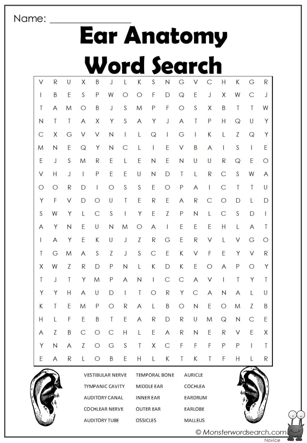 Ear Anatomy Word Search Monster Word Search