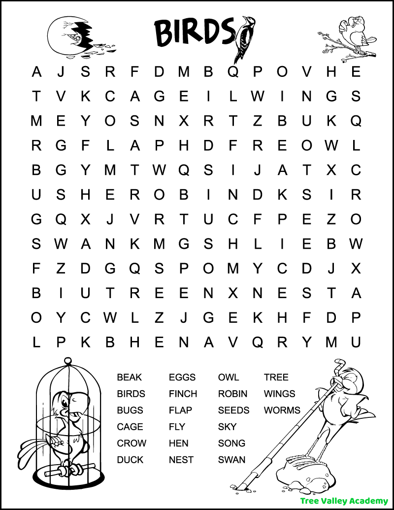 Bird Word Search Free Printable