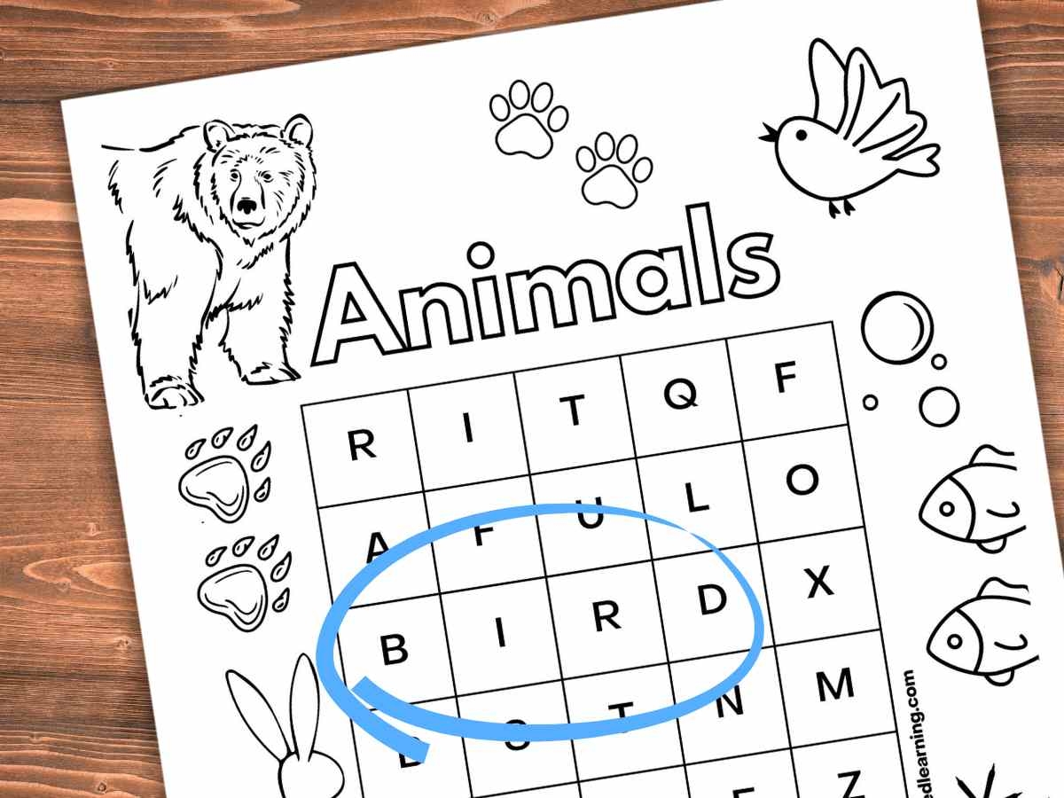 Pre K Word Search Printable