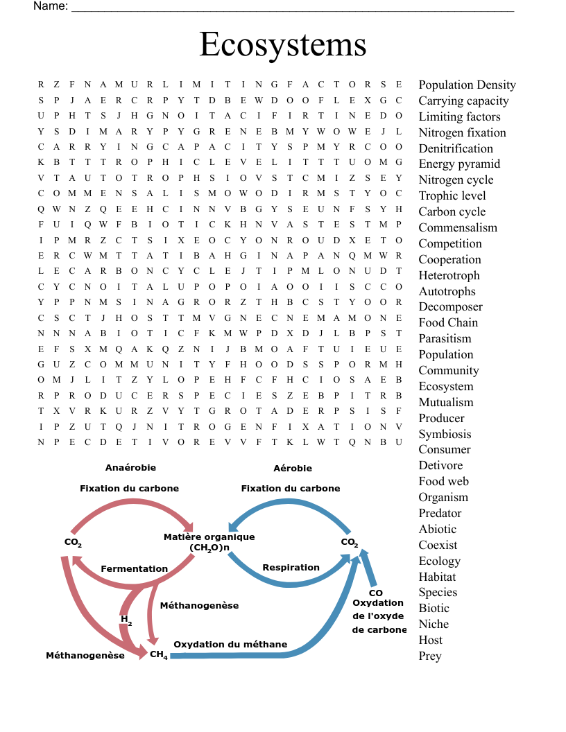 Ecosystem Word Search Printable