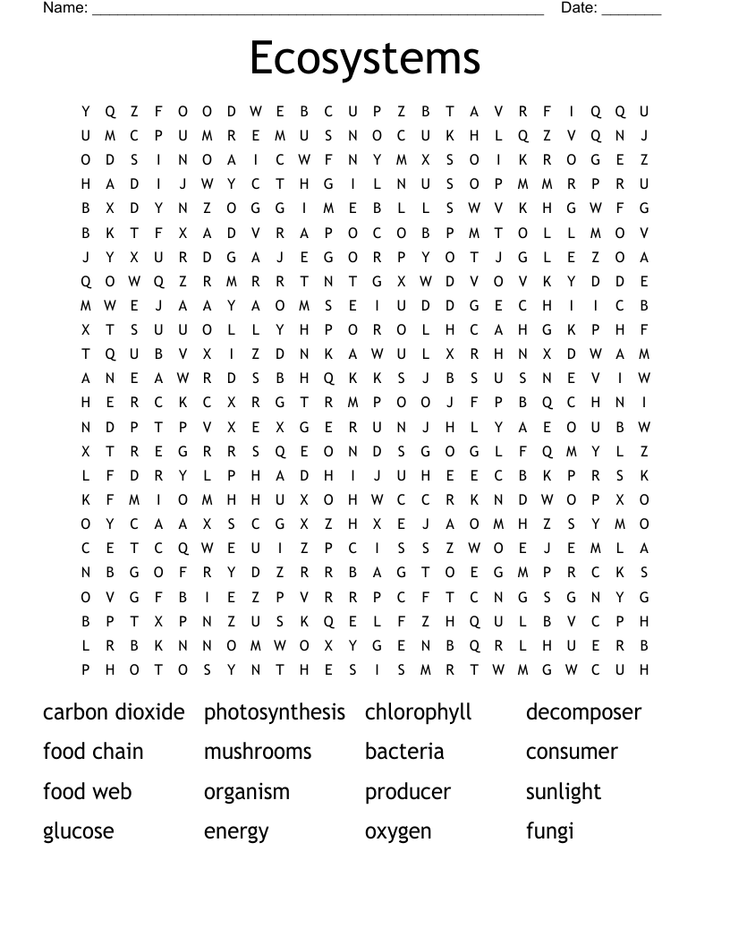 Ecosystems Word Search WordMint