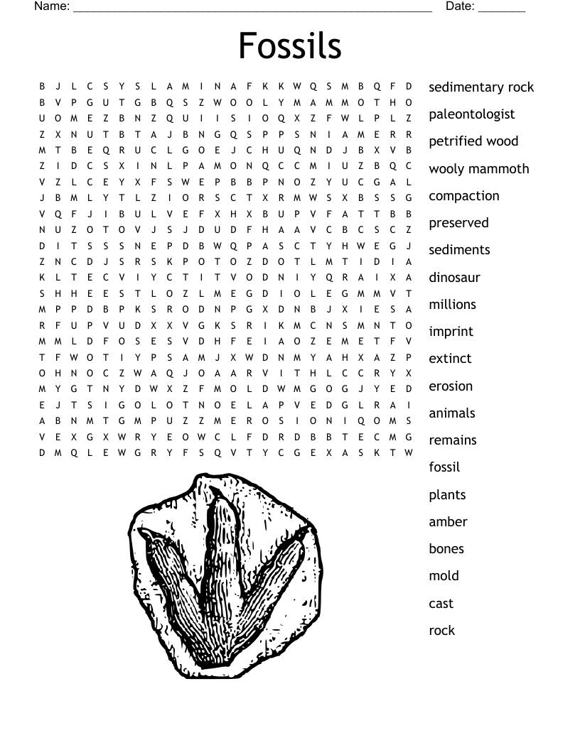 Fossil Word Search WordMint