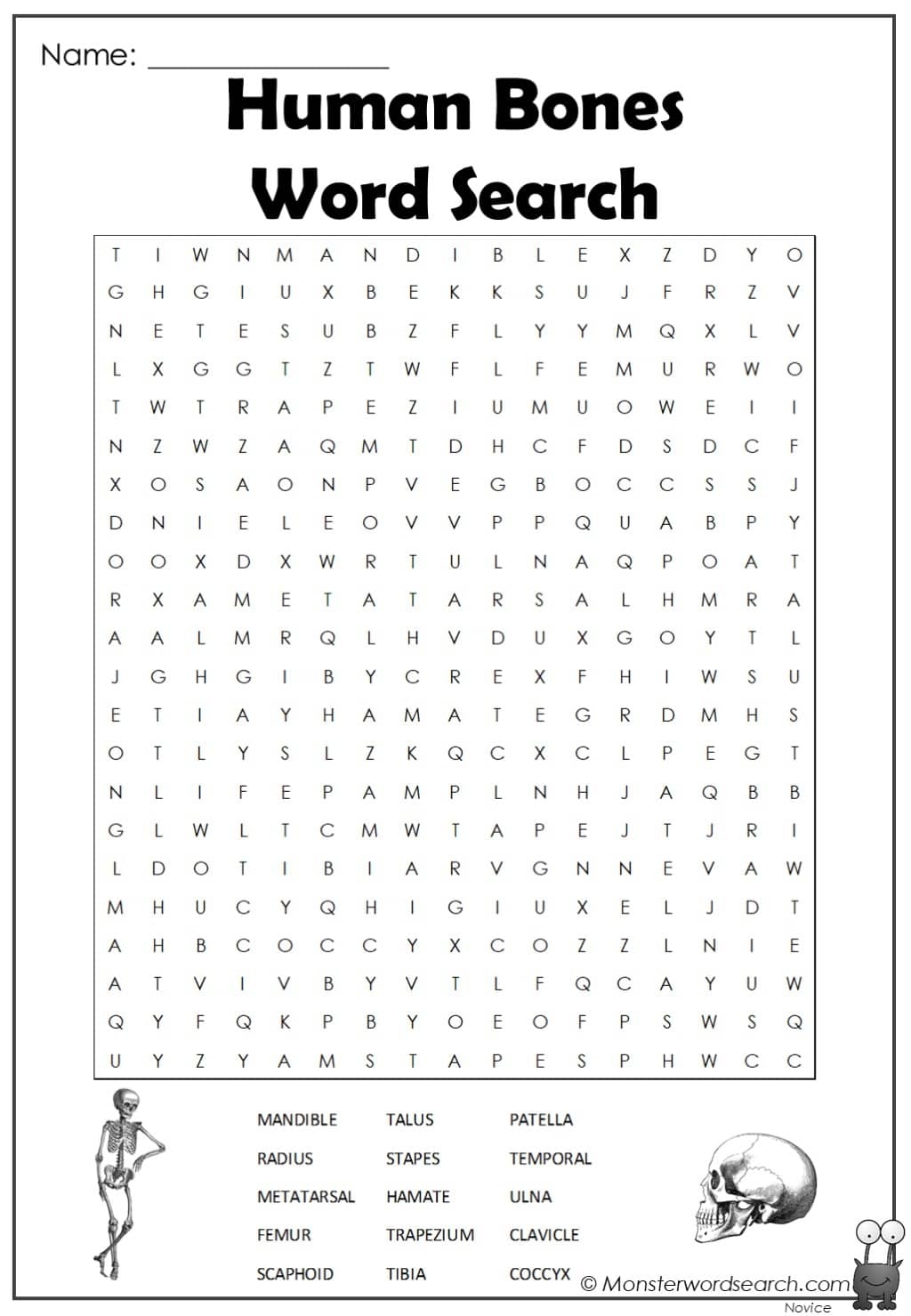 Human Bones Word Search Monster Word Search