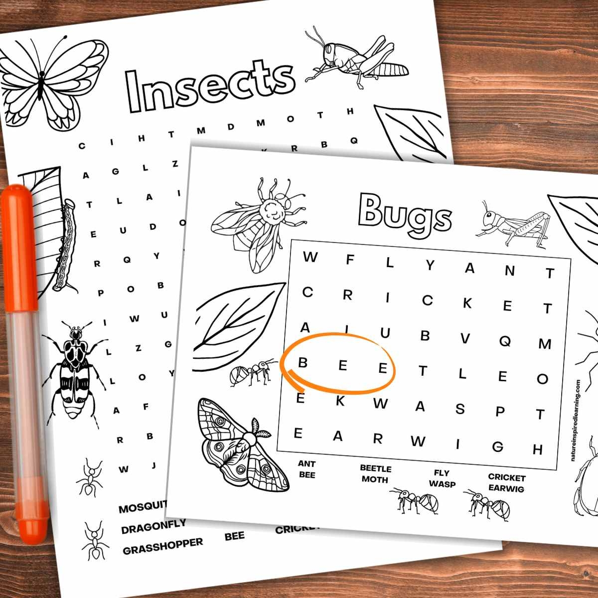 Insect Word Search Printable