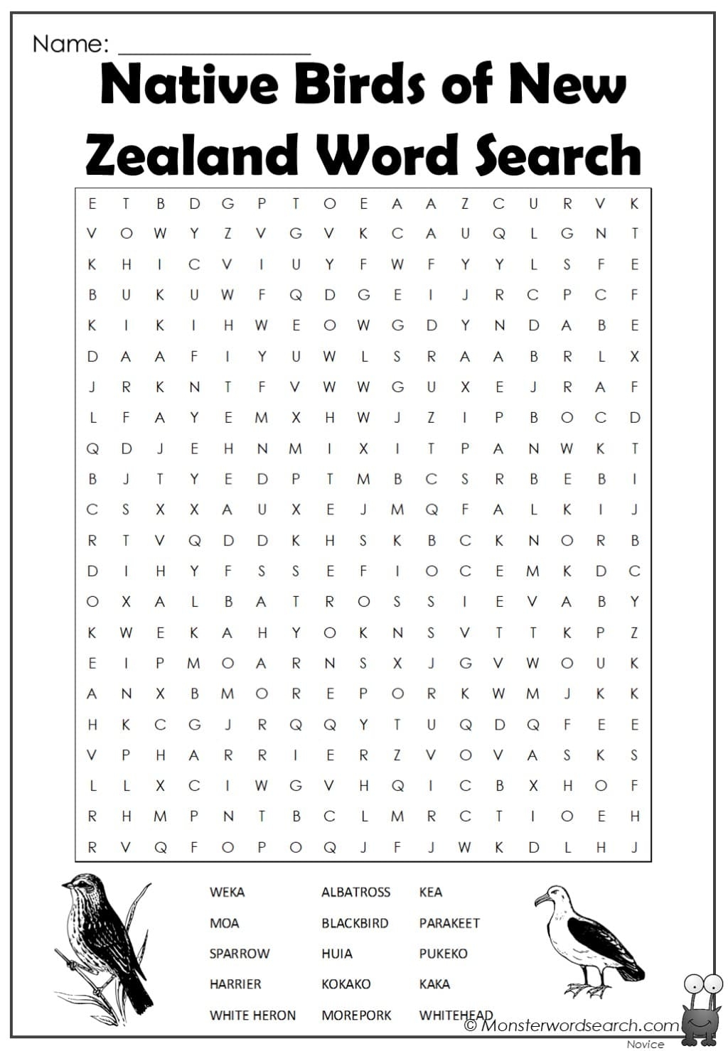 Native Birds Of New Zealand Word Search Monster Word Search