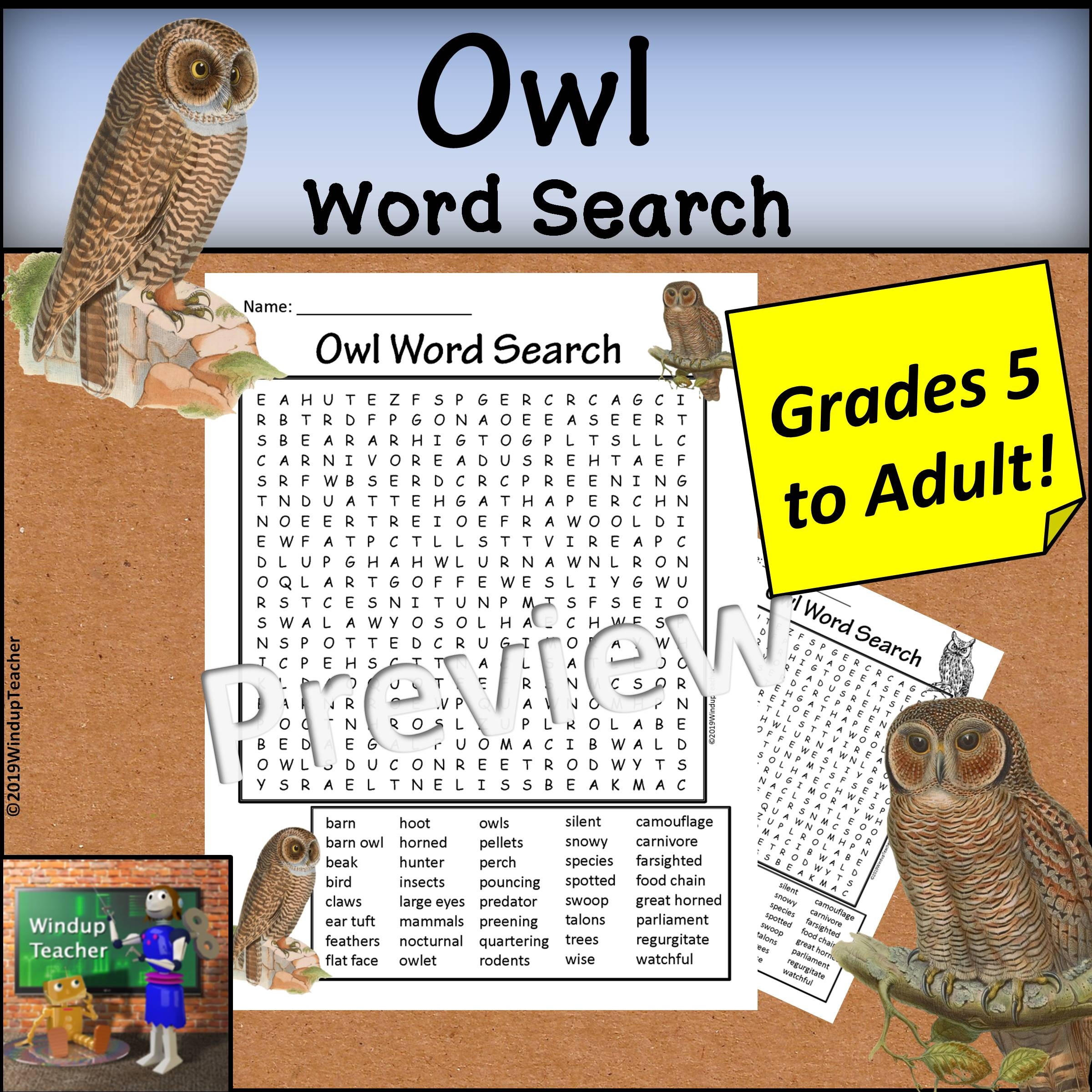 Owl Word Search Hard For Grades 5 To Adult Made By Teachers