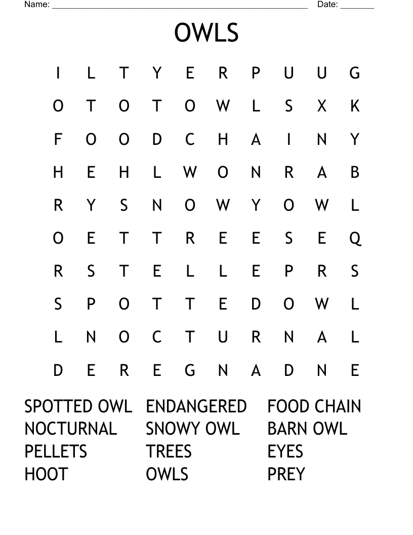 Owl Word Search Printable