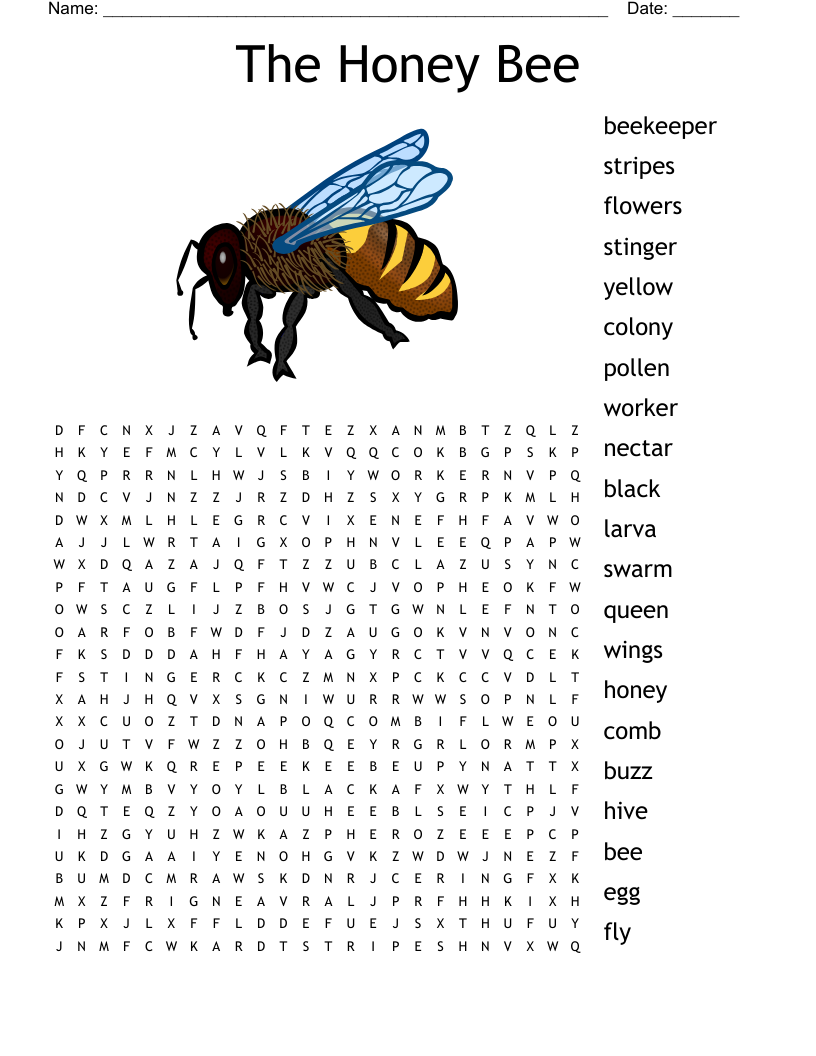 Bee Word Search Printable