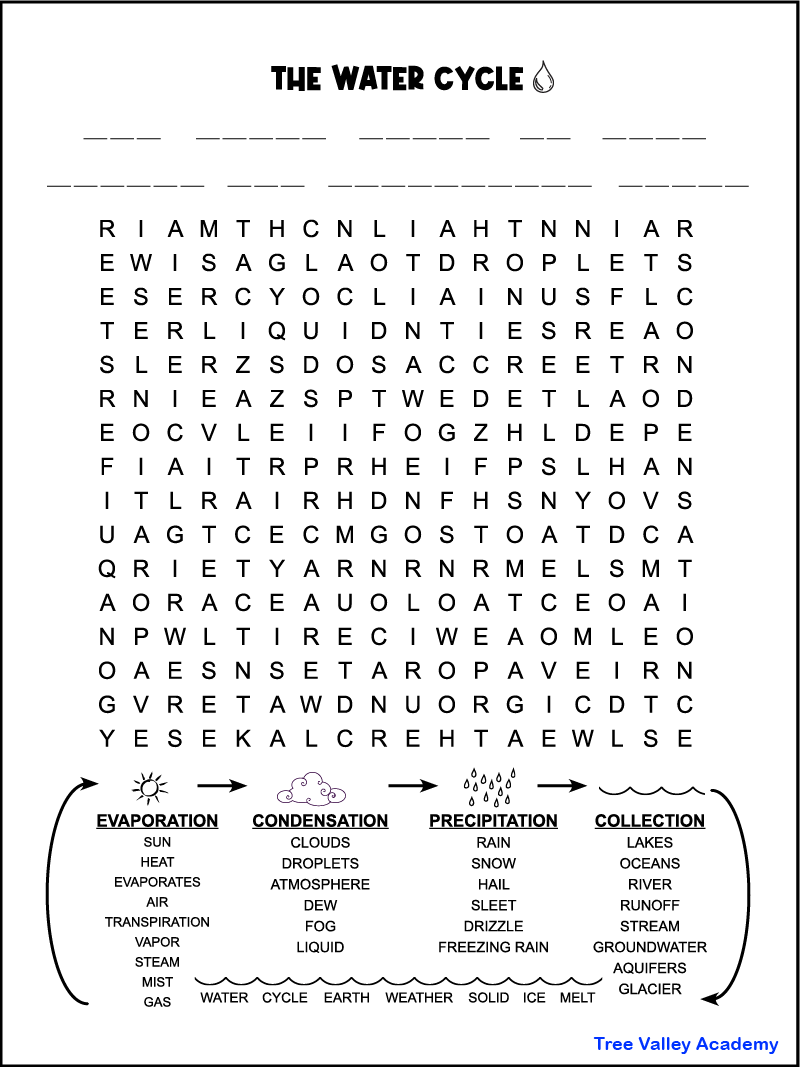 Water Cycle Word Search Printable